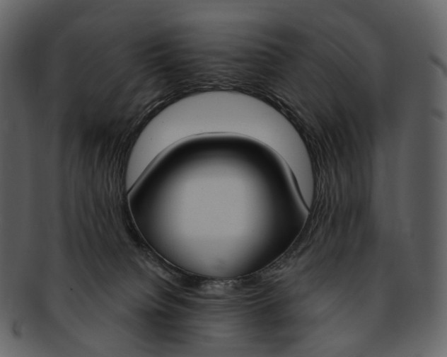 X0000093090084200710171148