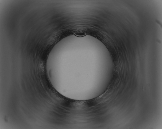 X0000093090086200710171148