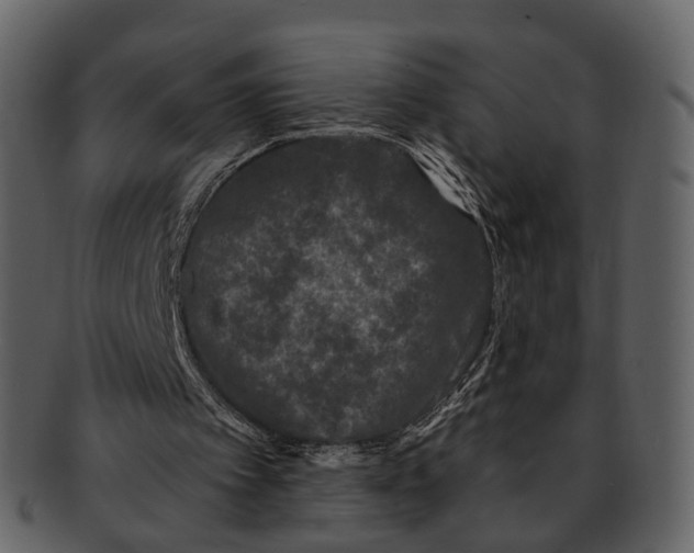 X0000093090097200710171147