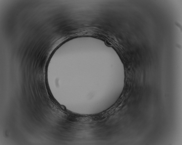X0000093090100200710171147