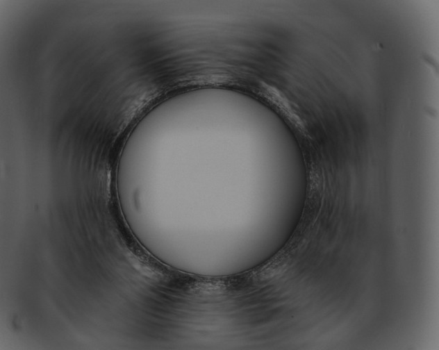 X0000093090110200710171147