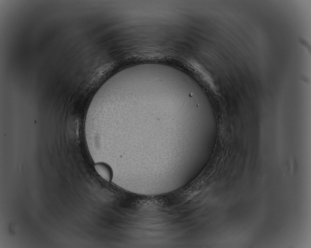 X0000093090115200710171147