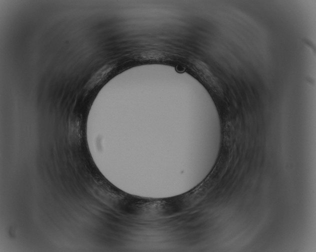 X0000093090116200710171147