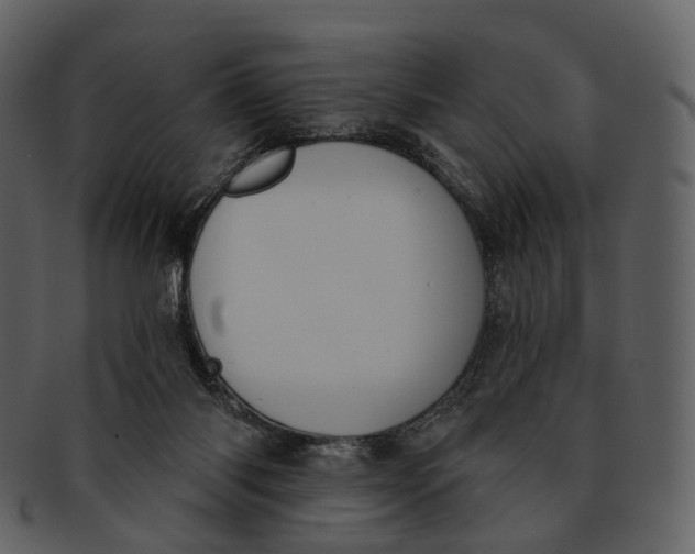 X0000093090118200710171147