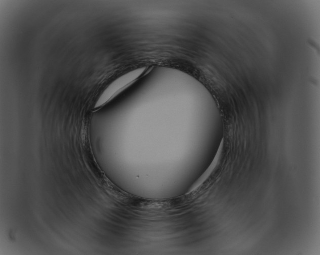 X0000093090129200710171146