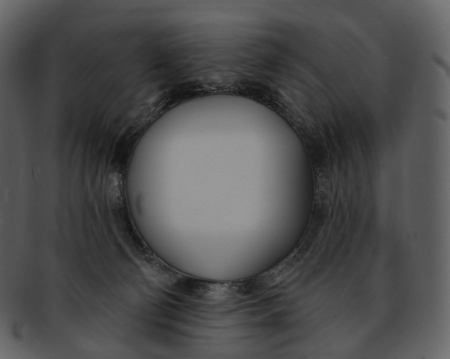 X0000093090130200710171146