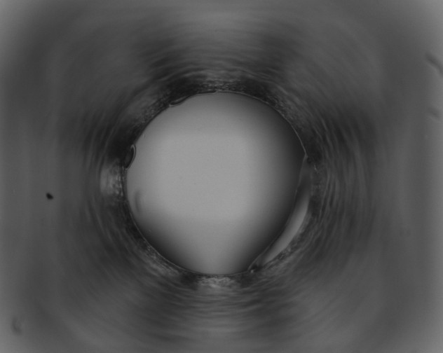 X0000093090137200710171146
