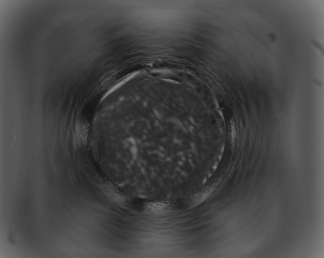 X0000093090139200710171146