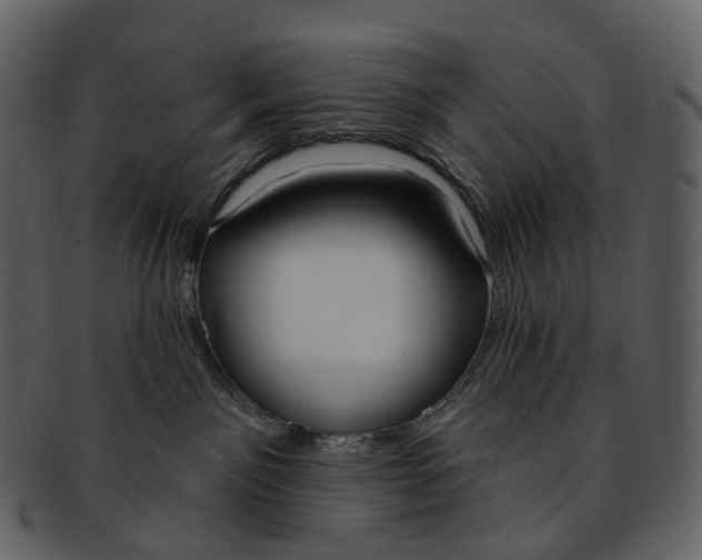 X0000093090141200710171146