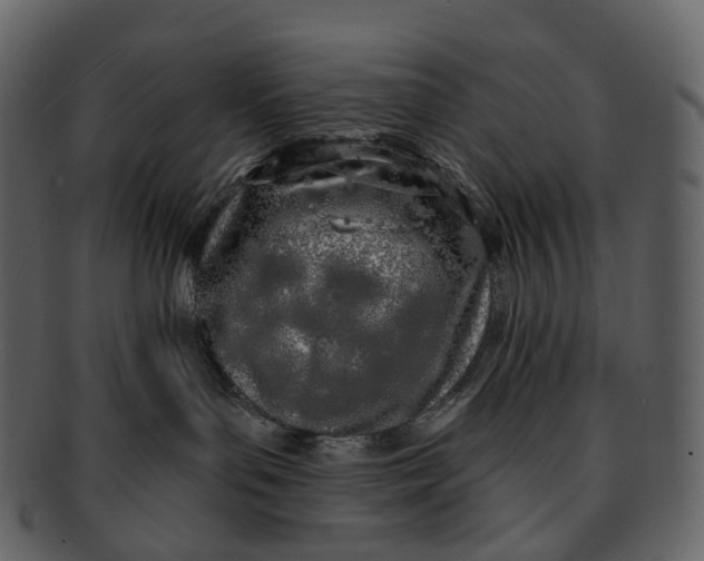 X0000093090143200710171146