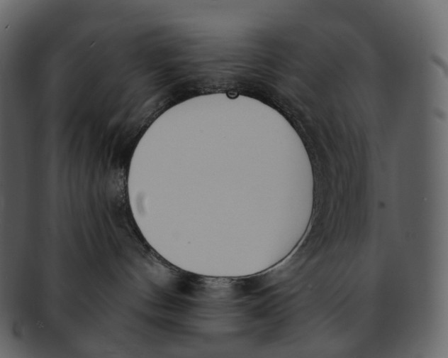 X0000093090144200710171146