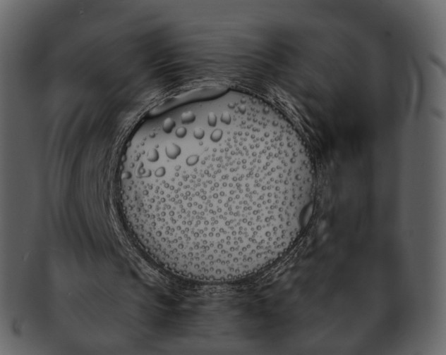 X0000093090145200710171146