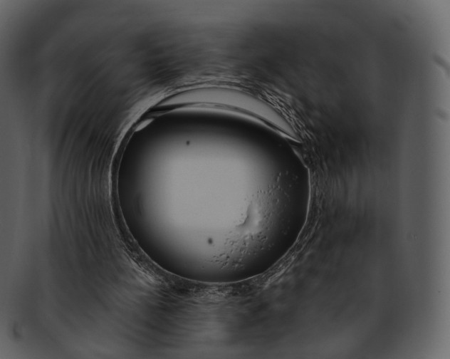 X0000093090148200710171146
