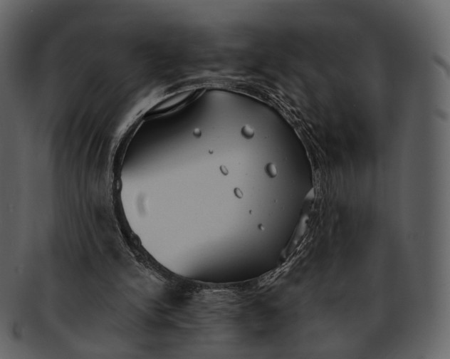 X0000093090150200710171146