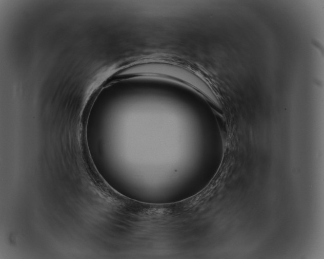 X0000093090152200710171146