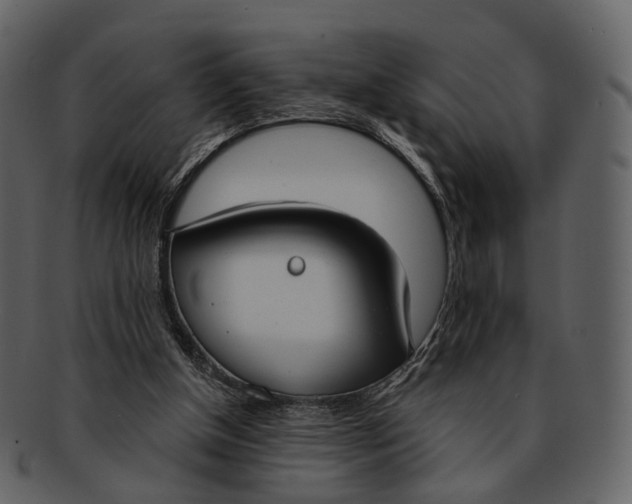 X0000093090154200710171146