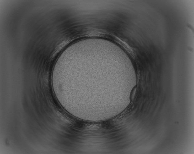 X0000093090155200710171146