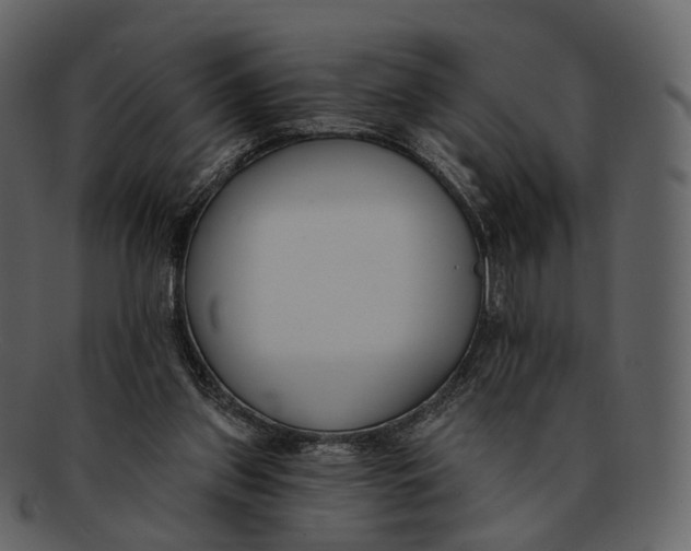 X0000093090157200710171146