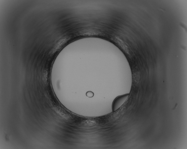 X0000093090159200710171146
