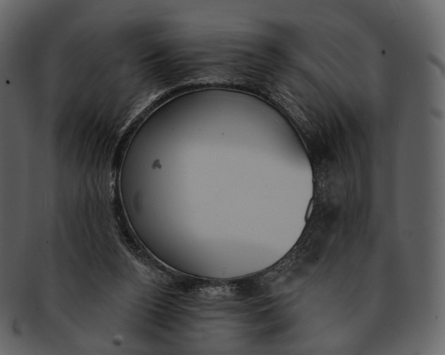 X0000093090160200710171146