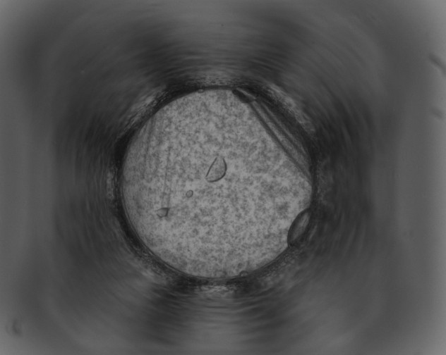 X0000093090161200710171146