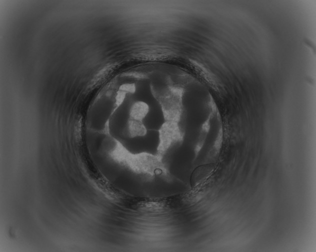 X0000093090163200710171146