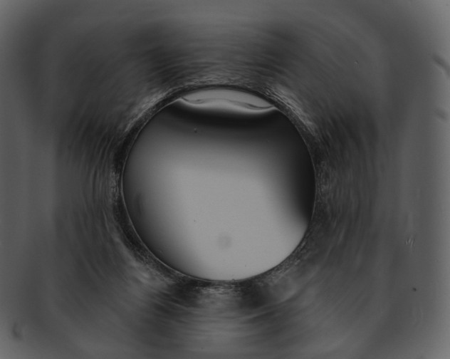 X0000093090164200710171146