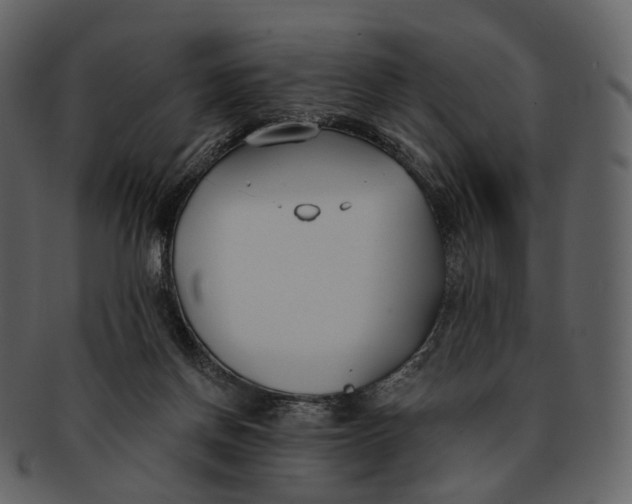 X0000093090166200710171146