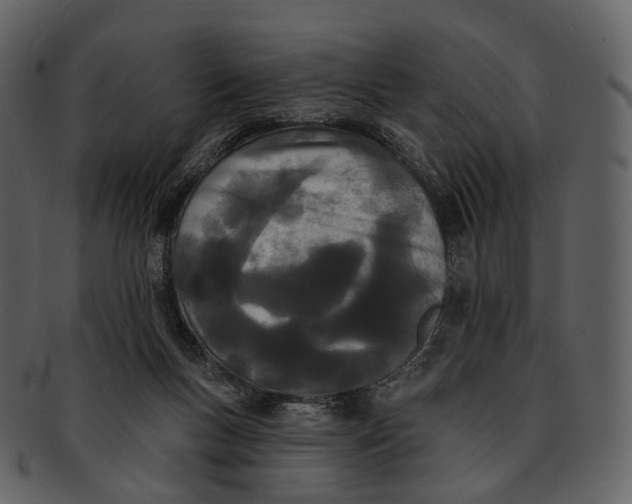 X0000093090167200710171146