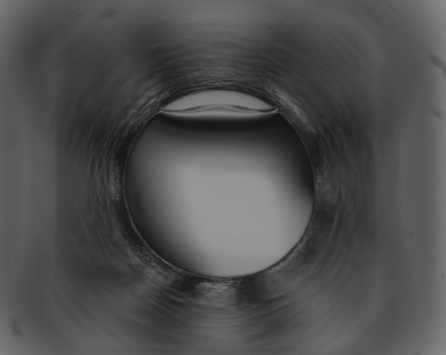 X0000093090170200710171146