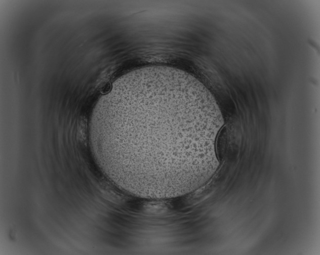 X0000093090175200710171146