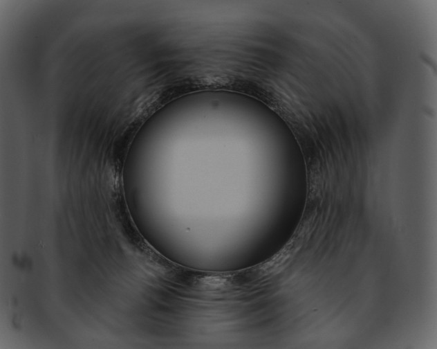 X0000093090176200710171146
