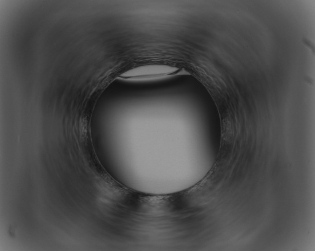 X0000093090184200710171146