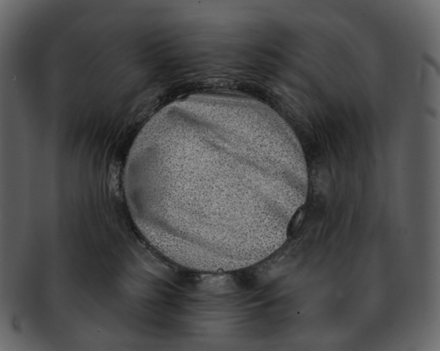 X0000093090185200710171146