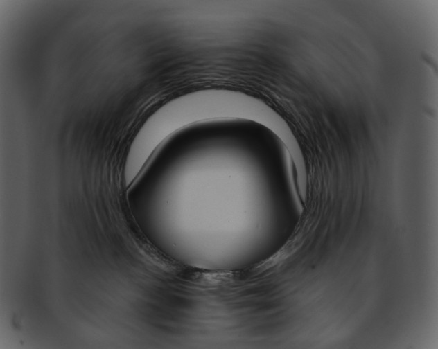X0000093090188200710171146