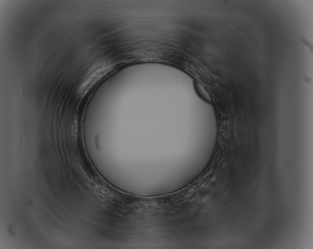 X0000093090194200710171146