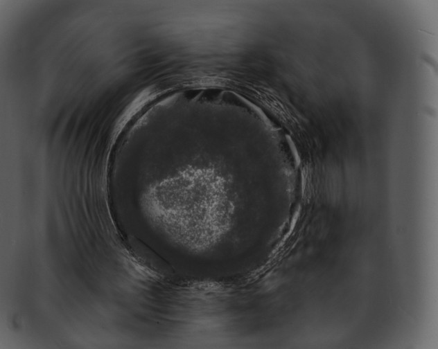 X0000093090195200710171146