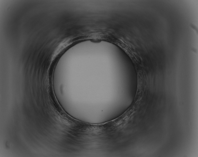 X0000093090198200710171145