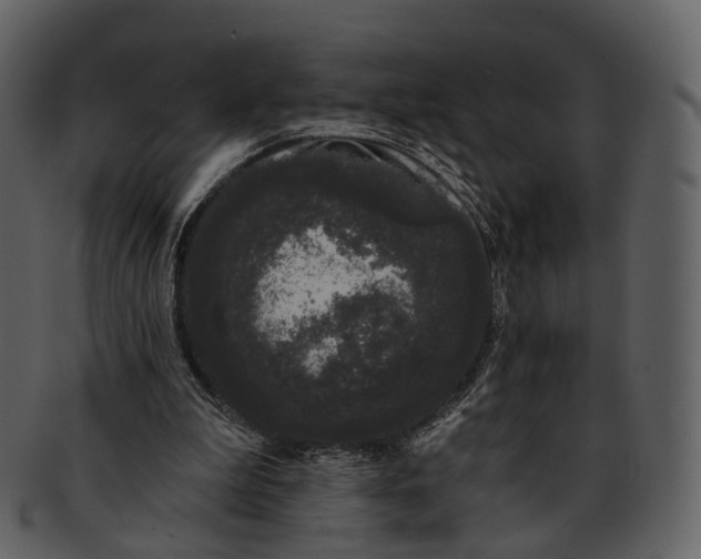 X0000093090199200710171145