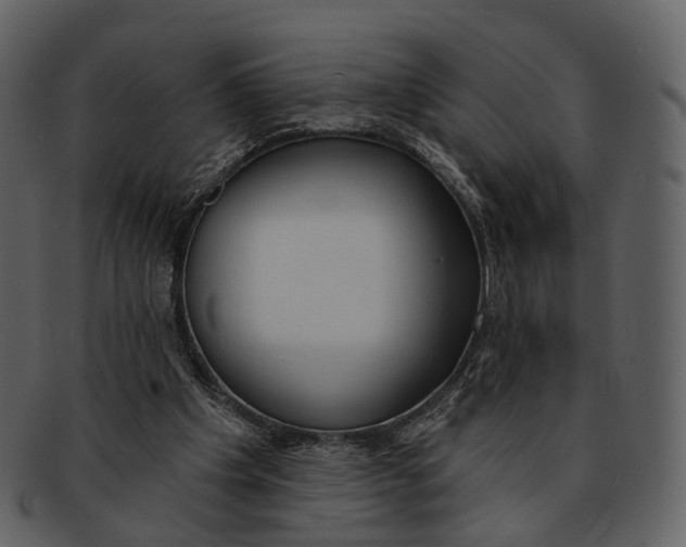 X0000093090201200710171145