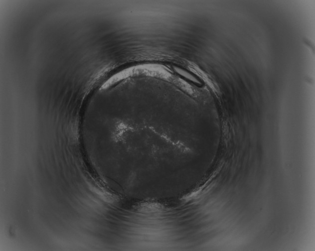 X0000093090203200710171145
