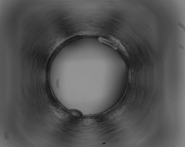 X0000093090204200710171145