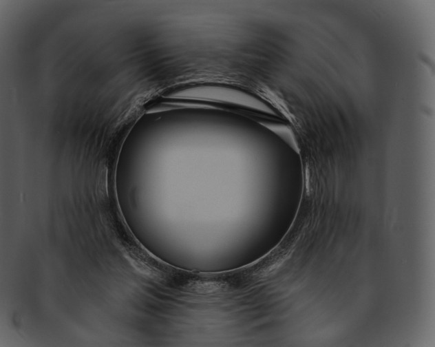 X0000093090205200710171145