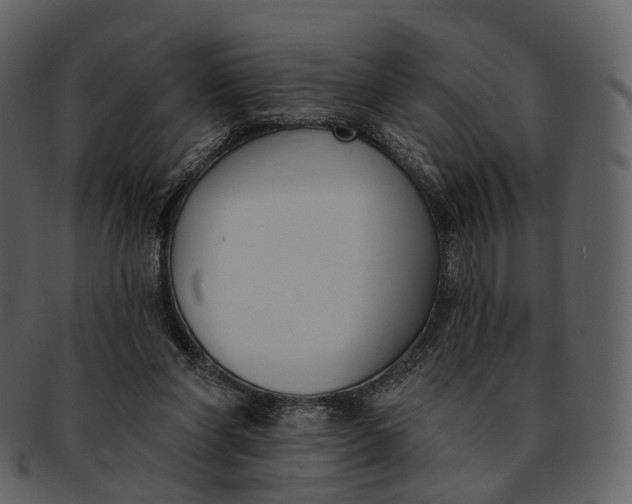 X0000093090206200710171145