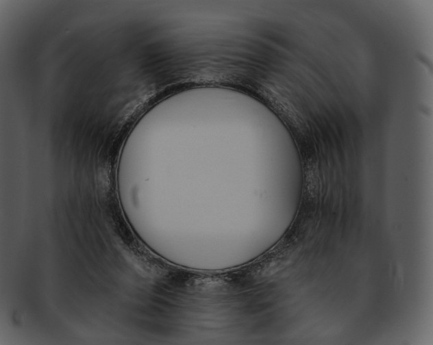 X0000093090208200710171145