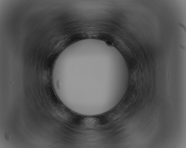 X0000093090218200710171145