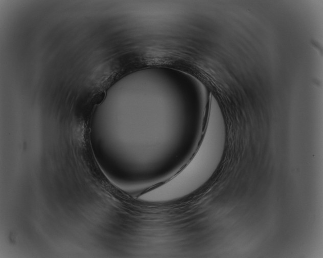 X0000093090219200710171145
