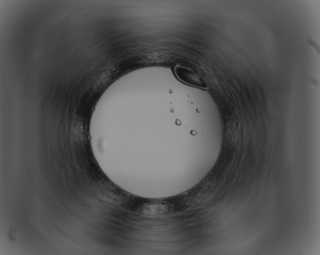 X0000093090220200710171145