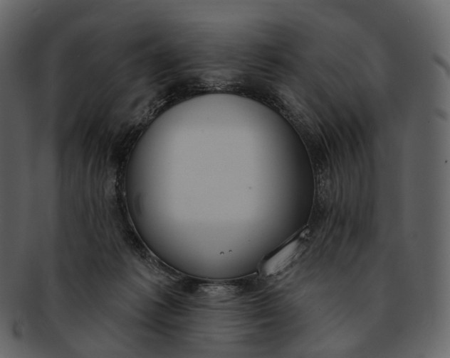 X0000093090221200710171145