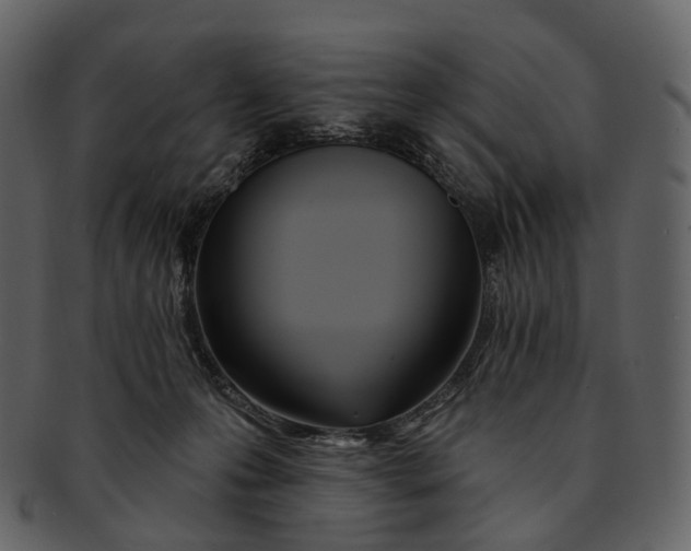 X0000093090223200710171145
